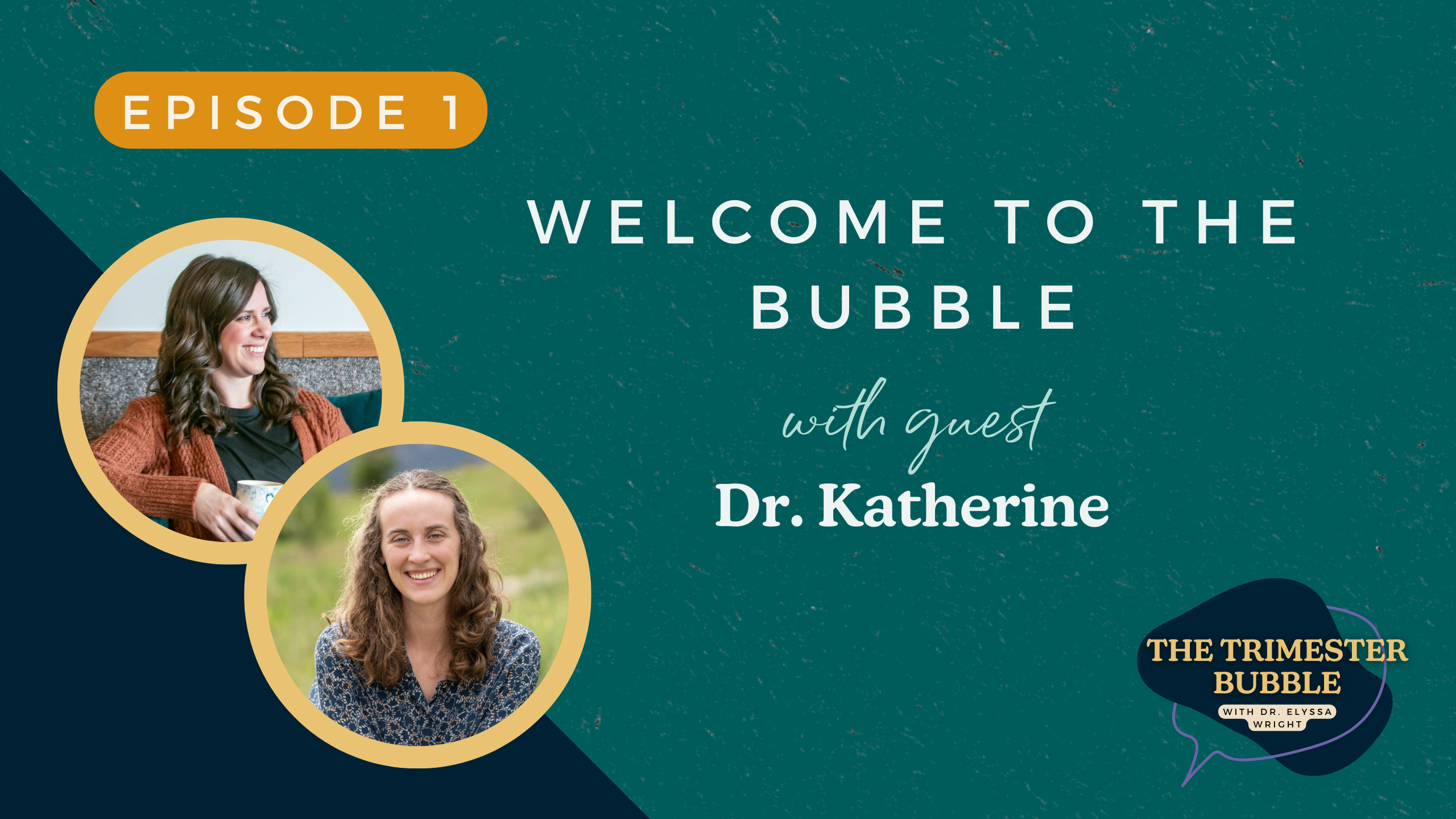 the trimester bubble