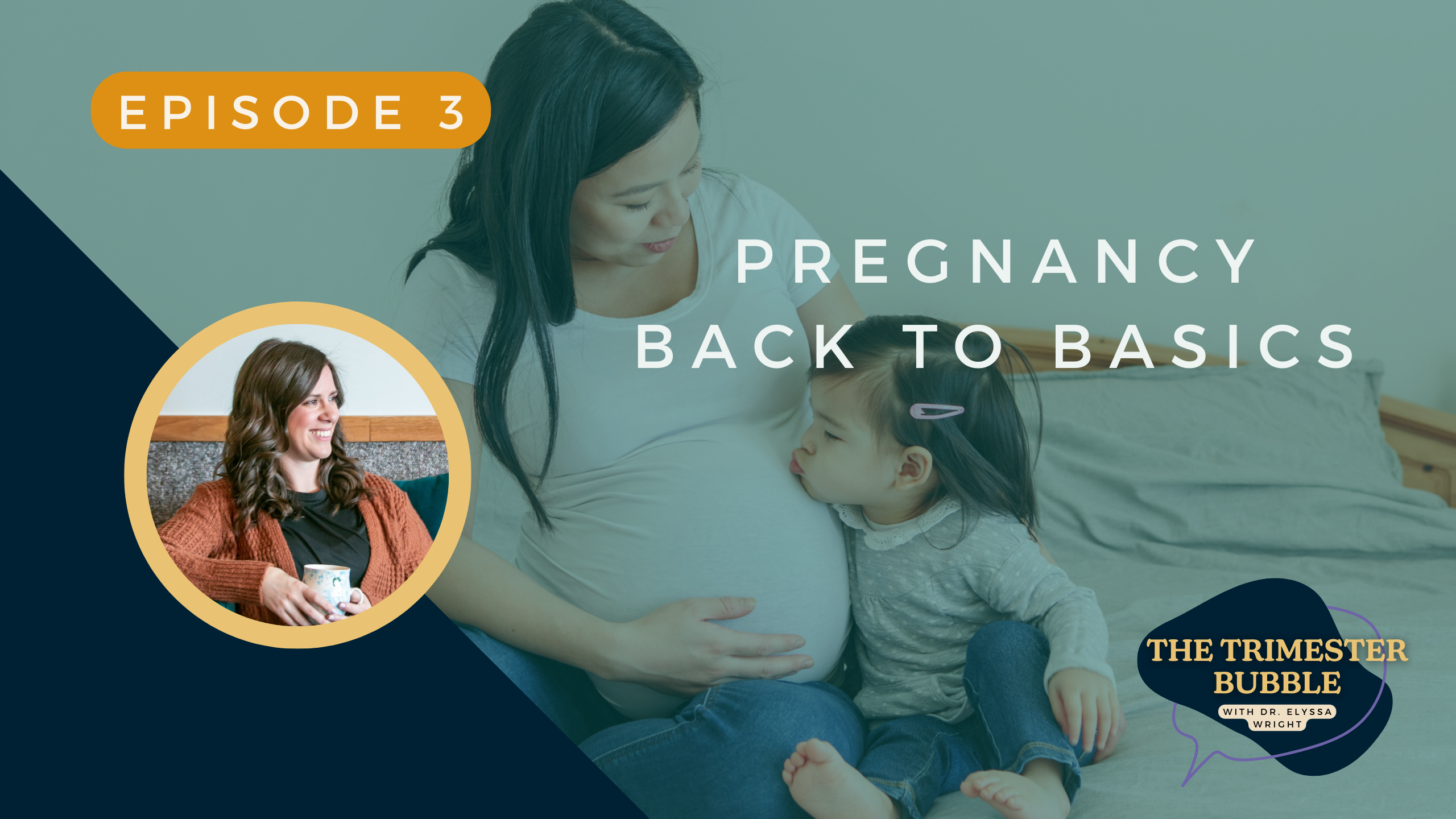 pregnancy 101
