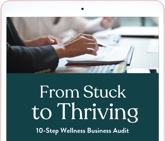 Wellness business audit guide cover image