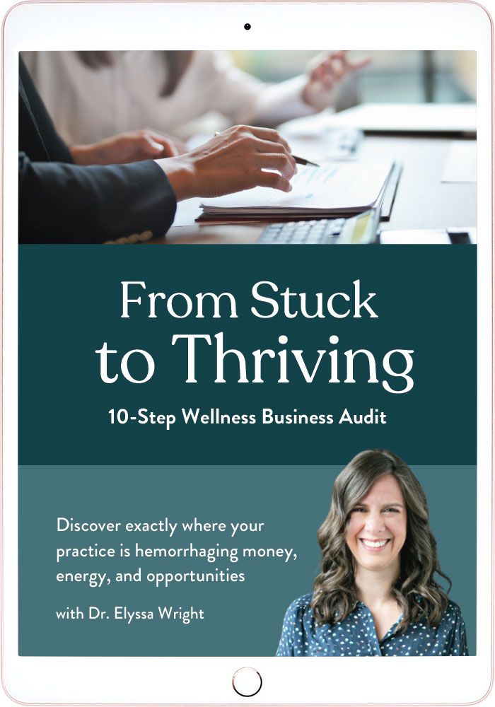 10-Step Wellness Business Audit Guide, From Stuck to Thriving